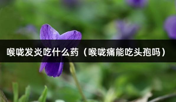 喉咙发炎吃什么药（喉咙痛能吃头孢吗）