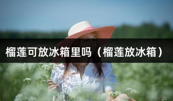 榴莲可放冰箱里吗（榴莲放冰箱）