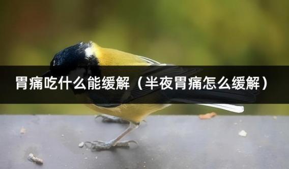 胃痛吃什么能缓解（半夜胃痛怎么缓解）