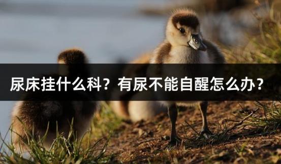 尿床挂什么科？有尿不能自醒怎么办？