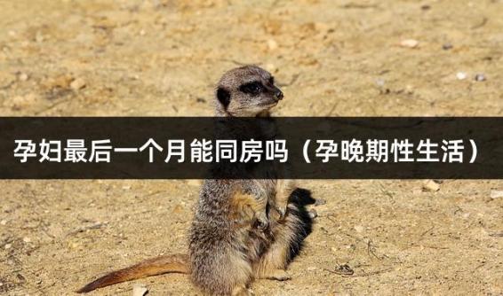 孕妇一个月能同房吗（孕晚期性生活）