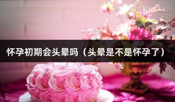 怀孕初期会头晕吗（头晕是不是怀孕了）
