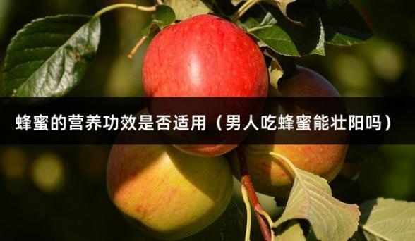 蜂蜜的营养功效是否适用（男人吃蜂蜜能壮阳吗）