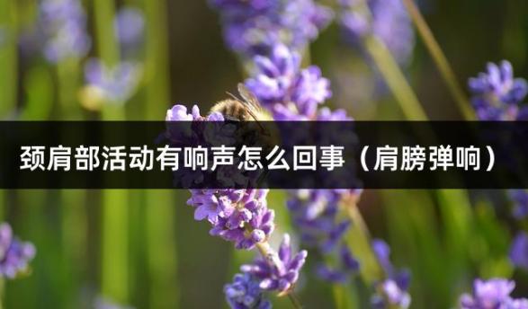 颈肩部活动有响声怎么回事（肩膀弹响）