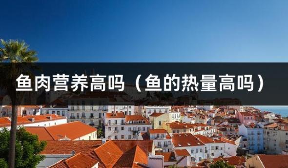 鱼肉营养高吗（鱼的热量高吗）