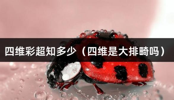 四维彩超知多少（四维是大排畸吗）