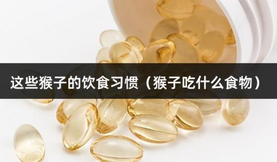 这些猴子的饮食习惯（猴子吃什么食物）