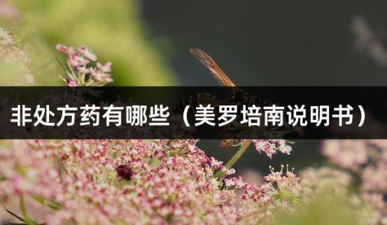 非处方药有哪些（美罗培南说明书）