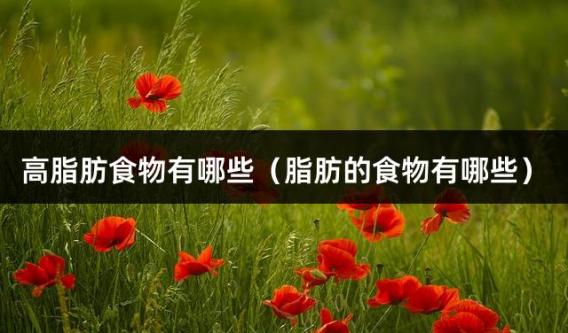 高脂肪食物有哪些（脂肪的食物有哪些）