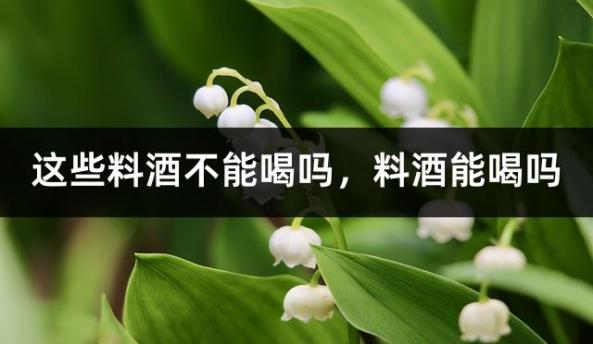 这些料酒不能喝吗，料酒能喝吗