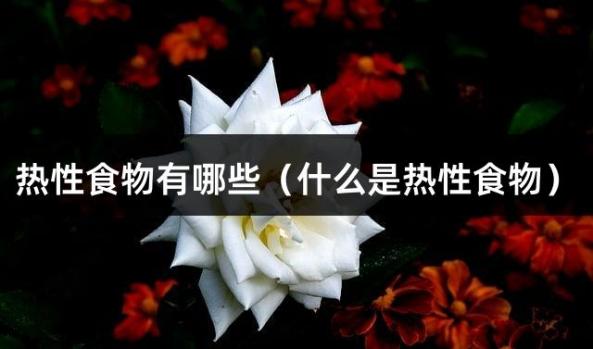 热性食物有哪些（什么是热性食物）