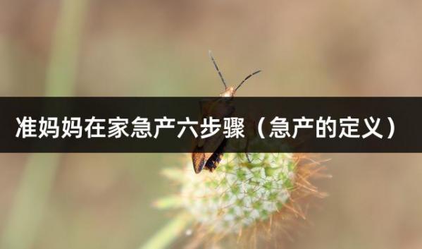 准妈妈在家急产六步骤（急产的定义）