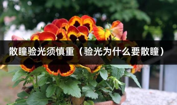 散瞳验光须慎重（验光为什么要散瞳）