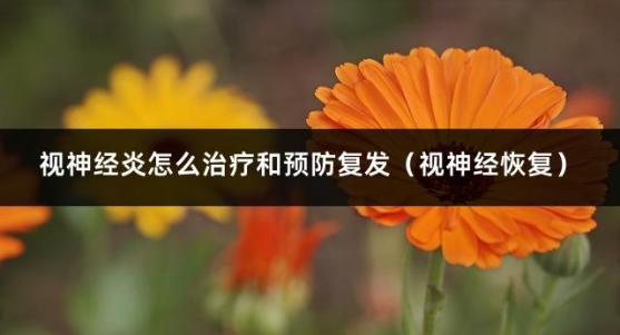 视神经炎怎么治疗和预防复发（视神经恢复）
