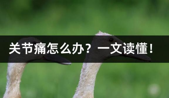关节痛怎么办？一文读懂！