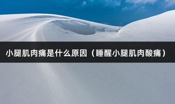 小腿肌肉痛是什么原因（睡醒小腿肌肉酸痛）