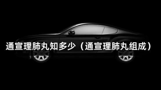 通宣理肺丸知多少（通宣理肺丸组成）