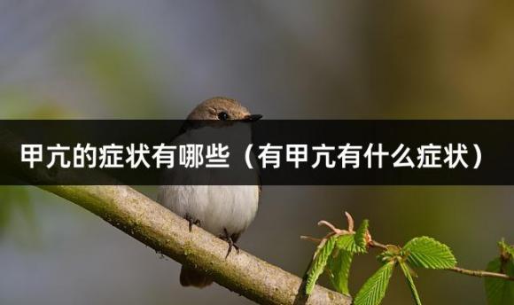 甲亢的症状有哪些（有甲亢有什么症状）