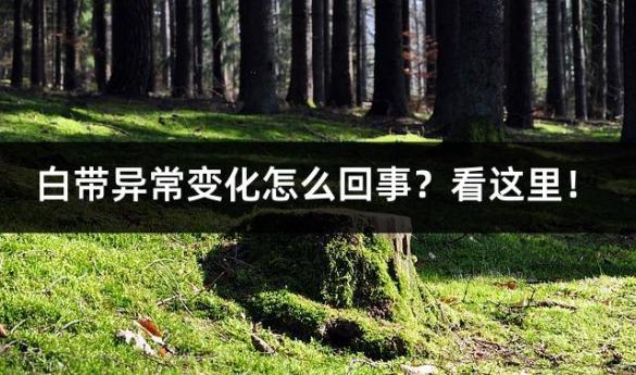 白带异常变化怎么回事？看这里！