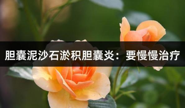 胆囊泥沙石淤积胆囊炎：要慢慢治疗