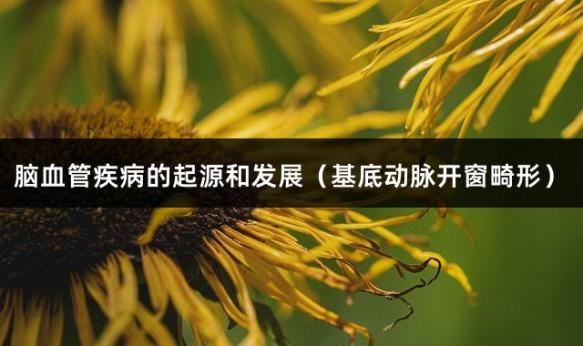 脑血管疾病的起源和发展（基底动脉开窗畸形）