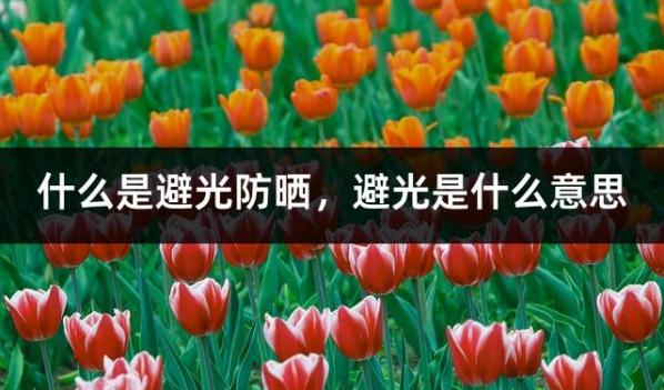 什么是避光防晒，避光是什么意思
