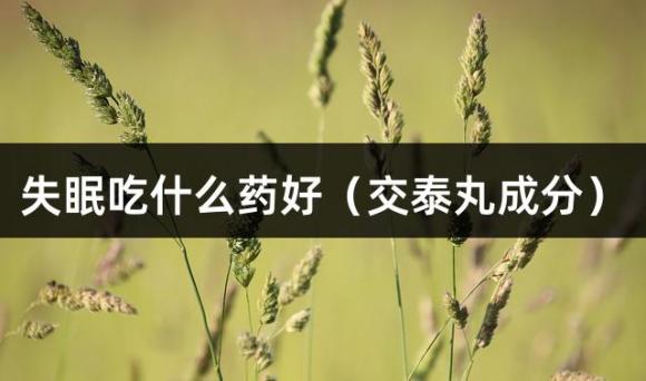 失眠吃什么药好（交泰丸成分）