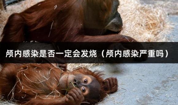 颅内感染是否一定会发烧（颅内感染严重吗）