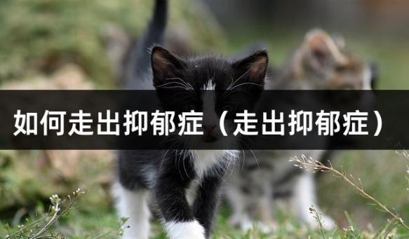 如何走出抑郁症（走出抑郁症）