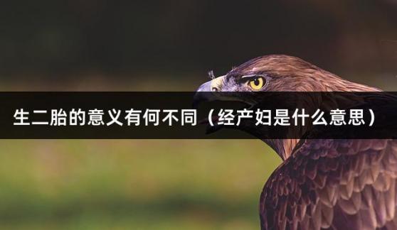 生二胎的意义有何不同（经产妇是什么意思）
