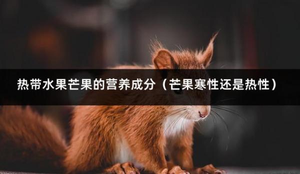 热带水果芒果的营养成分（芒果寒性还是热性）