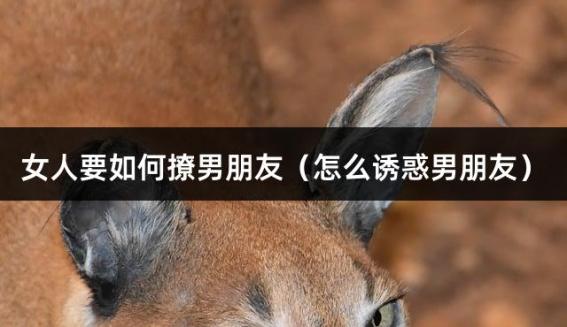 女人要如何撩男朋友（怎么诱惑男朋友）