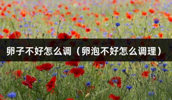 卵子不好怎么调（卵泡不好怎么调理）