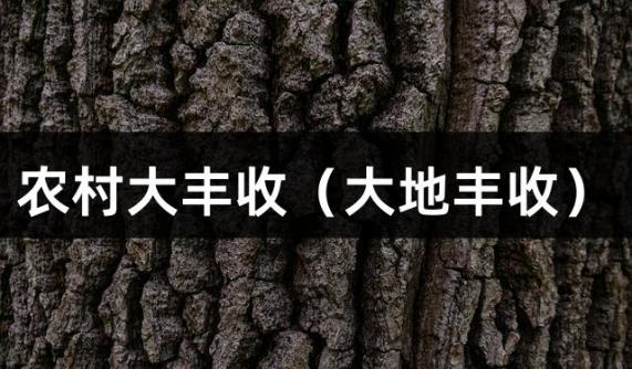 农村大丰收（大地丰收）