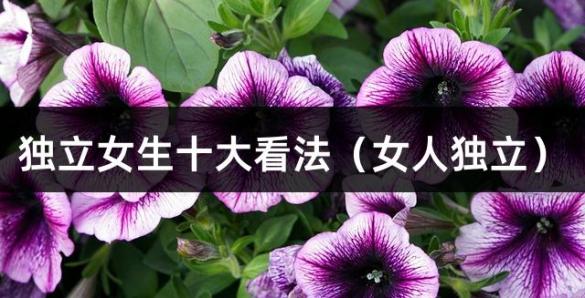 独立女生十大看法（女人独立）