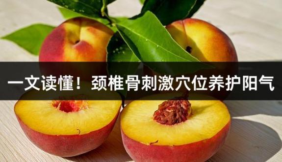 一文读懂！颈椎骨刺激穴位养护阳气
