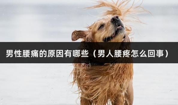 男性腰痛的原因有哪些（男人腰疼怎么回事）