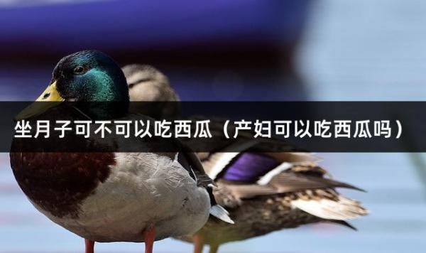 坐月子可不可以吃西瓜（产妇可以吃西瓜吗）