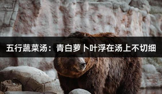 五行蔬菜汤：青白萝卜叶浮在汤上不切细