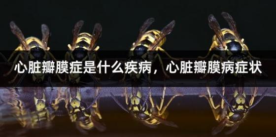 心脏瓣膜症是什么疾病，心脏瓣膜病症状