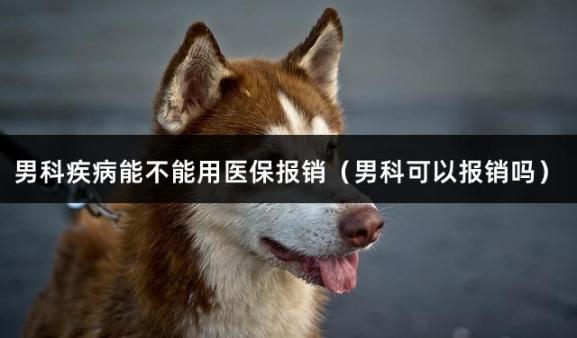 男科疾病能不能用医保报销（男科可以报销吗）