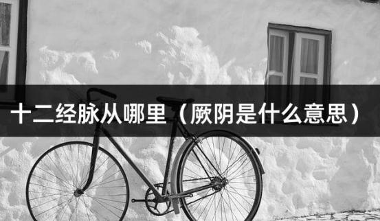 十二经脉从哪里（厥阴是什么意思）