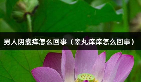 男人阴囊痒怎么回事（睾丸痒痒怎么回事）
