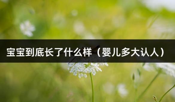 宝宝到底长了什么样（婴儿多大认人）