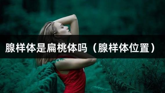腺样体是扁桃体吗（腺样体位置）