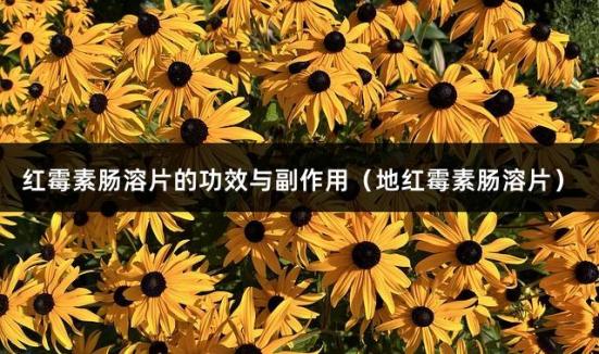 红霉素肠溶片的功效与副作用（地红霉素肠溶片）