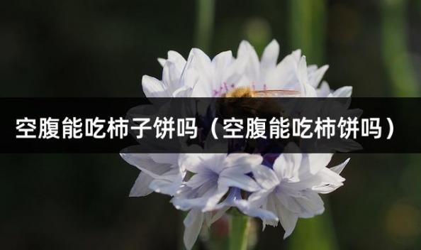 空腹能吃柿子饼吗（空腹能吃柿饼吗）