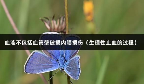 血液不包括血管壁破损内膜损伤（生理性止血的过程）