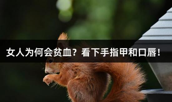 女人为何会贫血？看下手指甲和口唇！