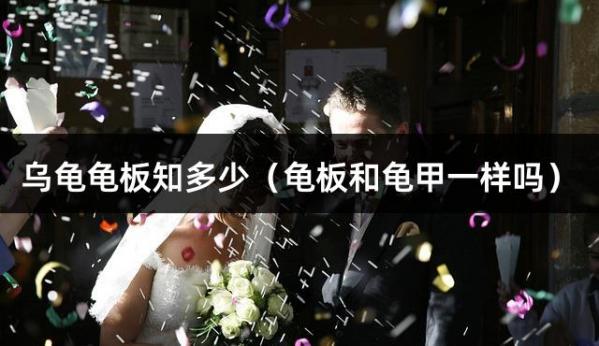 乌龟龟板知多少（龟板和龟甲一样吗）